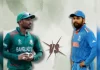 इंडिया vs बांग्लादेश वॉर्मअप मैच j26that ind vs ban warm up match 625x300 01 June 24