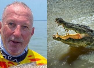 इंग्लिश ऑलराउंडर इयान बॉथम मगरमच्छों से भरी नदी में गिरे 2024 11image 13 07 120275629crocodile