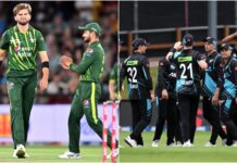 न्यूजीलैंड ने पाकिस्तान के खिलाफ किया क्लीन स्वीप, सीरीज पर 5-0 से कब्जा image (15)
